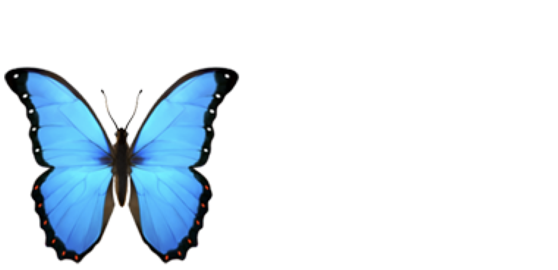 Dianne Breton